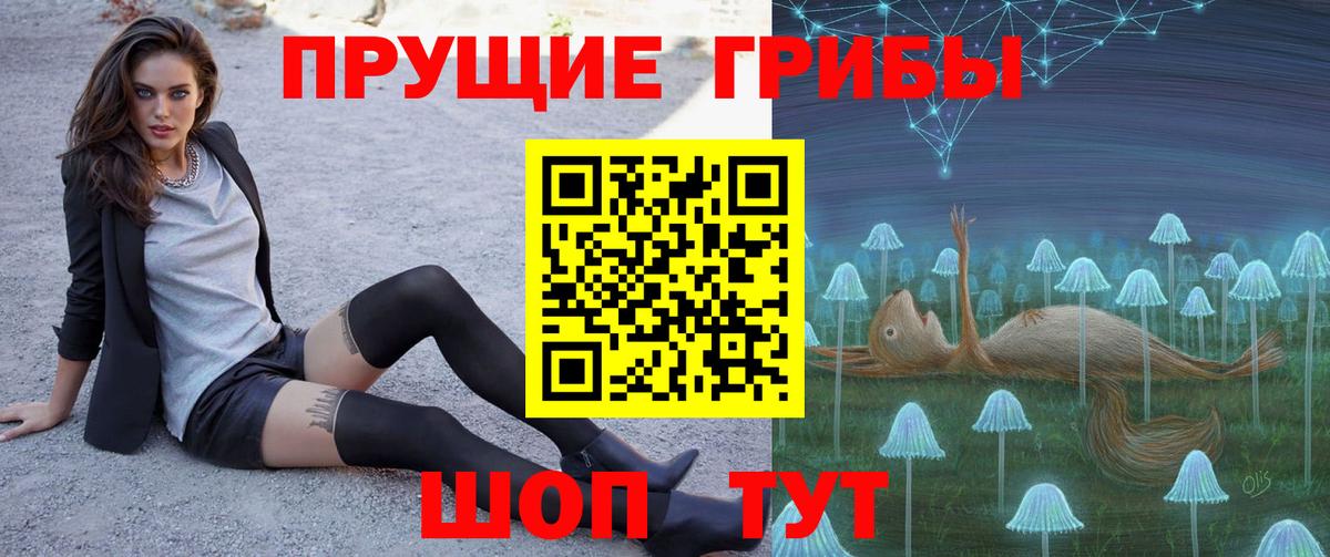 Псилоцибиновые грибы мицелий Избербаш