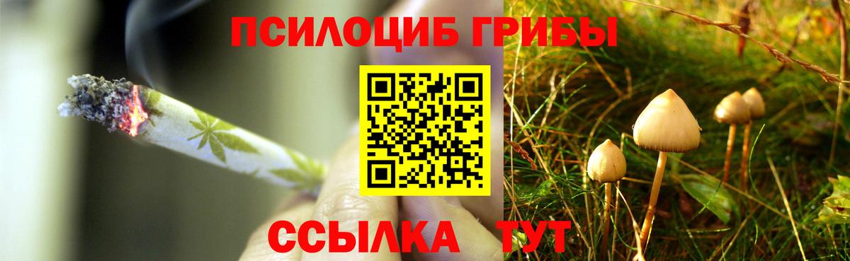 Избербаш  Псилоцибиновые грибы мухоморы  Вход с VPN 